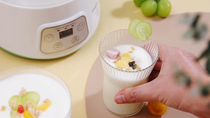 yogurt maker machine