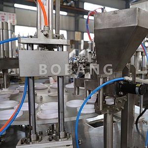 RBG-2P16 dual rotary iceceam machine ice cream cup and cone filling machine ice cream molds filling machine