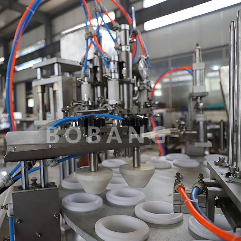 RBG-2P16 dual rotary iceceam machine ice cream cup and cone filling machine ice cream molds filling machine