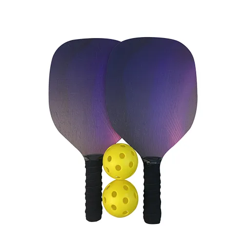 pickleball set