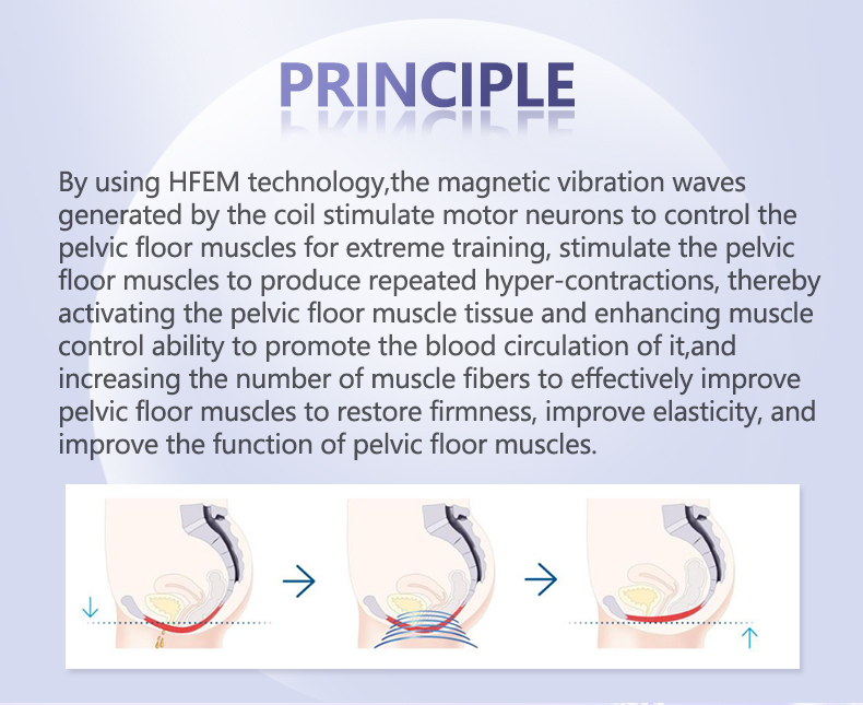 pelvic floor muscle trainer chair
