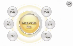 Picosecond Long Pulse Laser