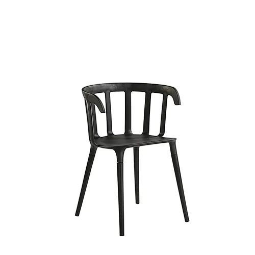 Leisure Plastic Chair