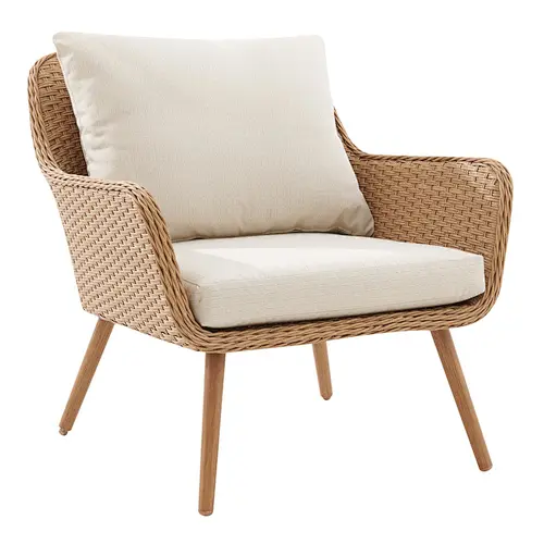 Rattan Chair For Leisure Chat