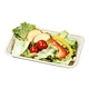 Square Bagasse plate