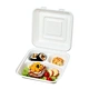 sugarcane disposable bowls
