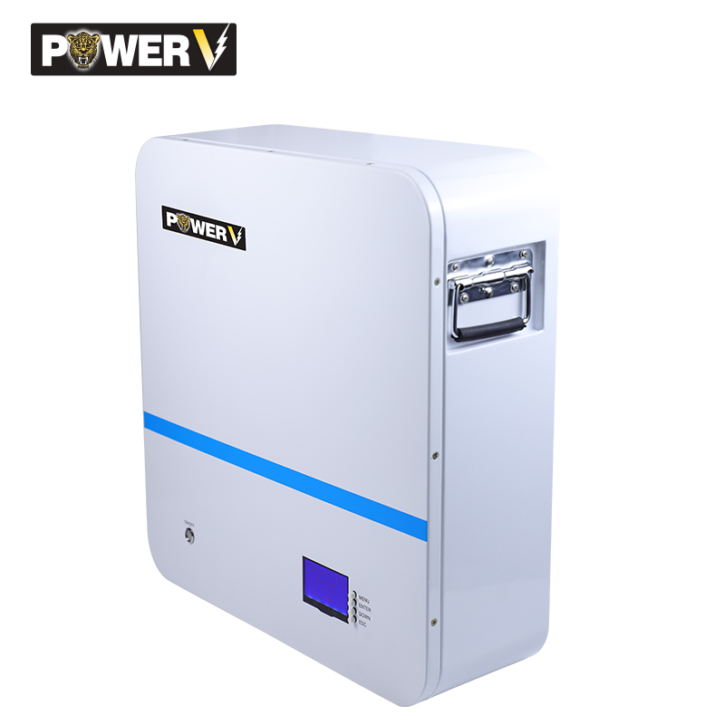 51.2 100Ah Bms Lifepo4 Battery Power Supply Wall Rs485 Battery Pack Solar Battery 5Kwh