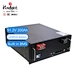 Lifepo4 Lithium Iron Battery Module