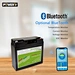 Lithium Phosphate Battery