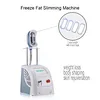 Portable One Handle Fat Freezing Dissolving Machine