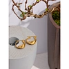 stainless steel earrings