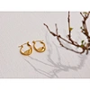 stainless steel earrings