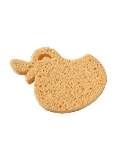 sea sponge shower