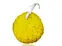 Bath Sponge