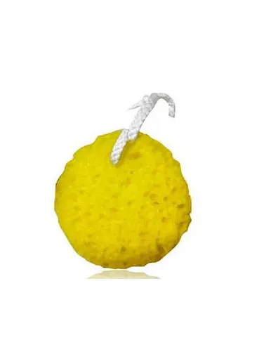 sea sponge shower