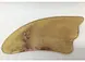 Scraping Plate