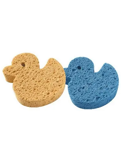 soft body sponge