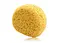 Bath Sponge