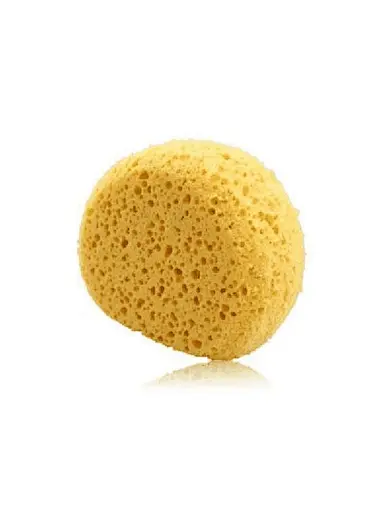 natural sea sponge for bathing