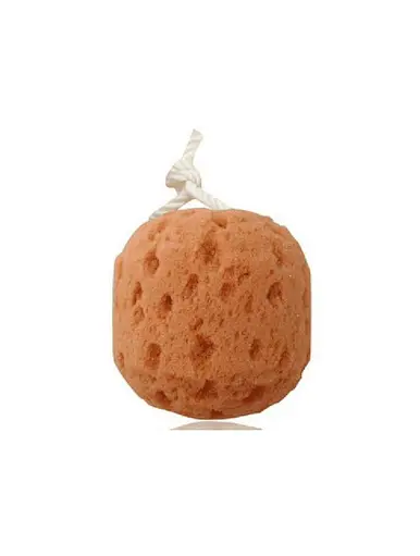 soft body sponge