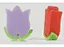 Bath Sponge
