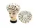 Shower Cap