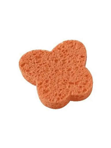 back sponge for shower