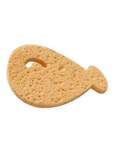 sea sponge shower