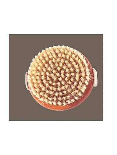 Shower Brushes