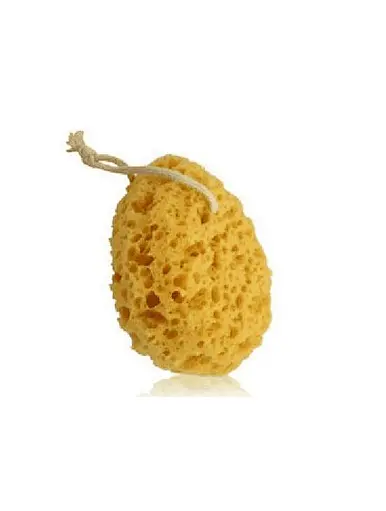 natural sea sponge for bathing