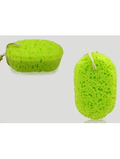 sea sponge shower