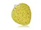 Bath Sponge