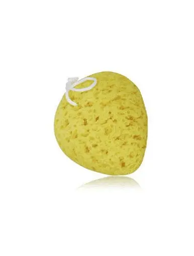 natural sea sponge for bathing