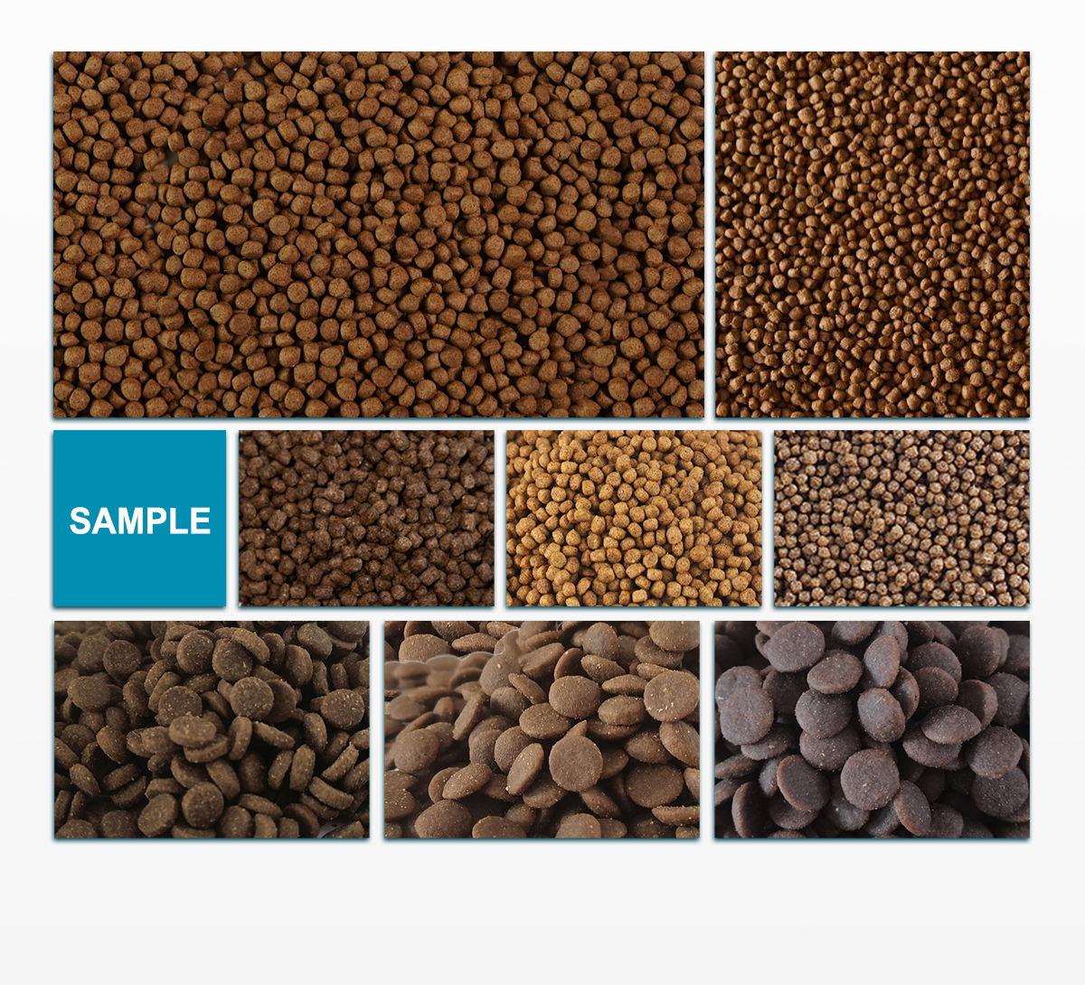 AYT-120-Double-Screw-Extruder, pet food, animal feed, extruding high-meat pet food, dry pet food extruding, pet food extrusion, feed for animal, animal feed machine, produce pet food, pet food making machine,