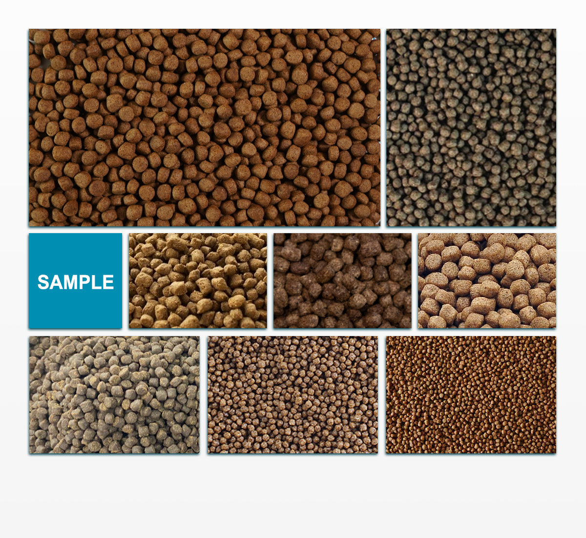 Fish Feed Making Machine, twin screw extruder, Aquatic Feed, pet food, Pet Food Machine, dry pet food, Pet Food Market, Pet Food Processing Solutions, Aquatic Feed Production, AYT-98 Double Screw Extruder,