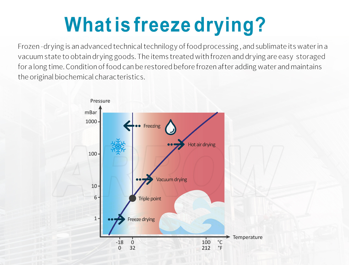 vacuum freeze dryer, freeze drying, lyophilization, lyophilizer, vacuum chamber, condenser, drying cycle, vacuum levels, freeze drying technology, vegetables, fruits.