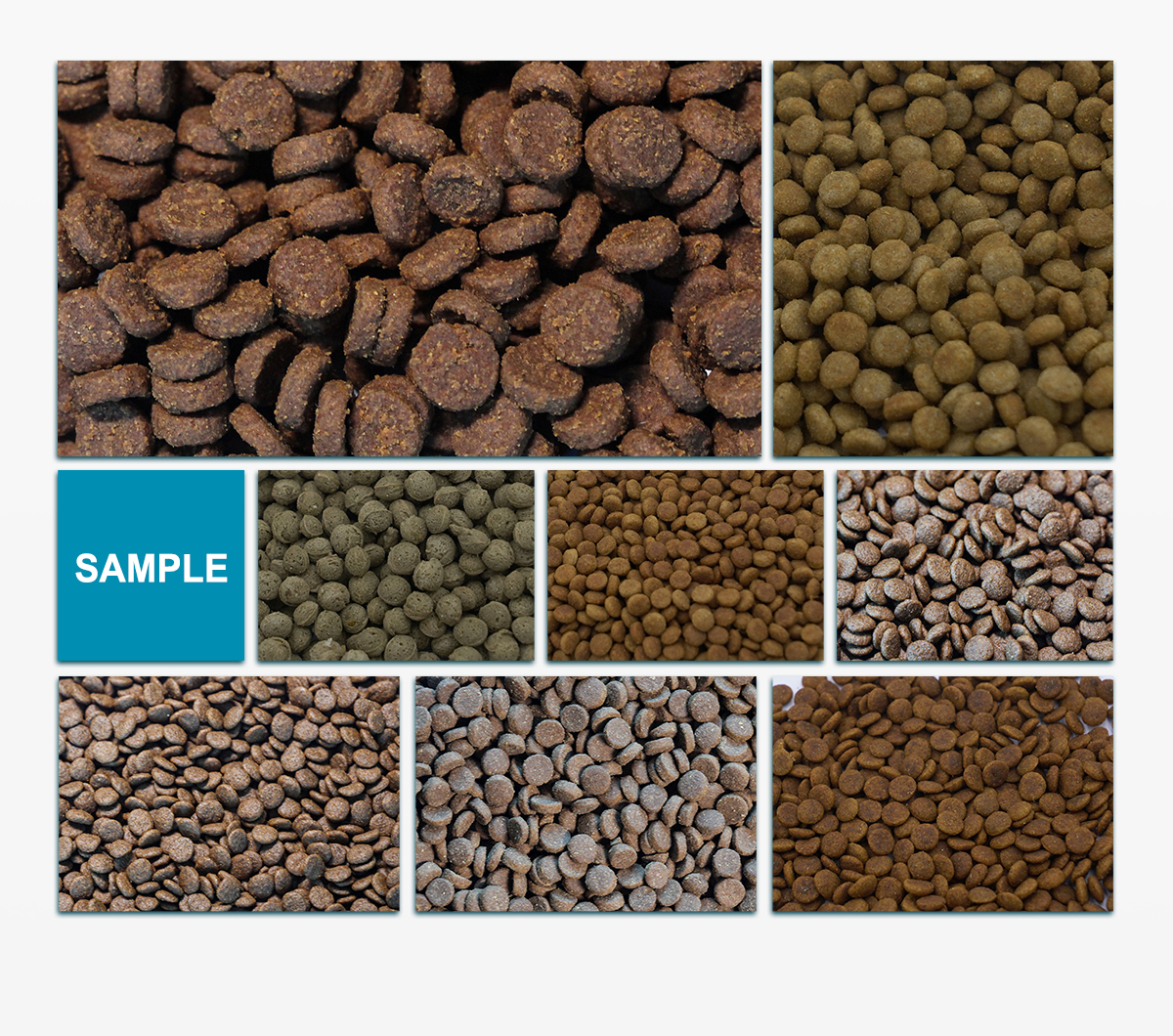 animal feed, pet food, fish feed, dog food machine, pet food making machine, pet food extrusion, sinking fish feed, Fish Feed Extruder, twin screw extruder, AYT-105 Double Screw Extruder,