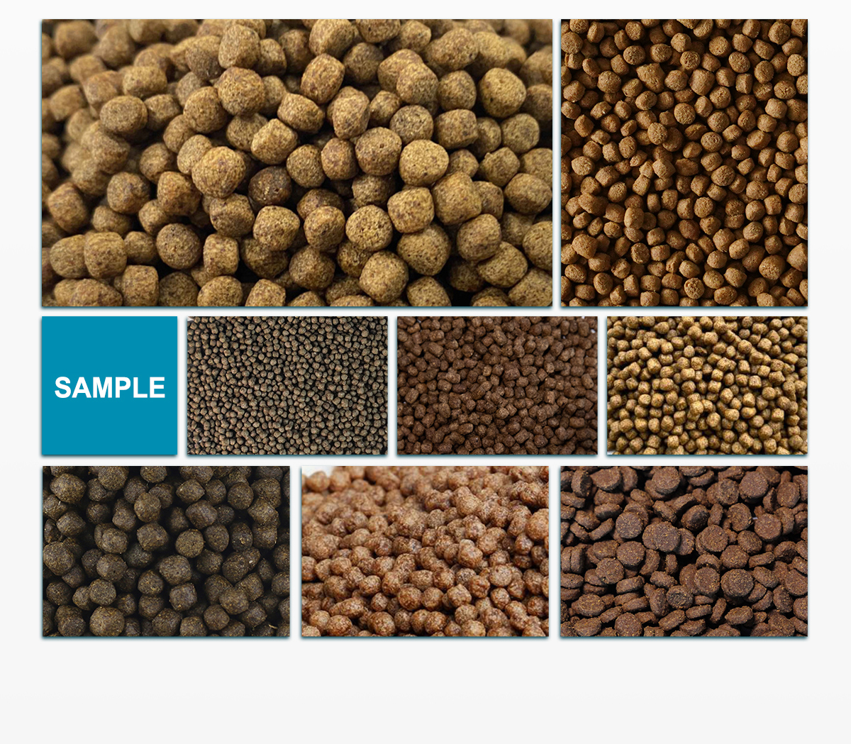 pet food, fish feed, Cereals and Snacks, artificial protein, tissue protein, aqua feed, Single Screw Extruder, dog food machine, dog food, AYT Series Single Screw Extruder