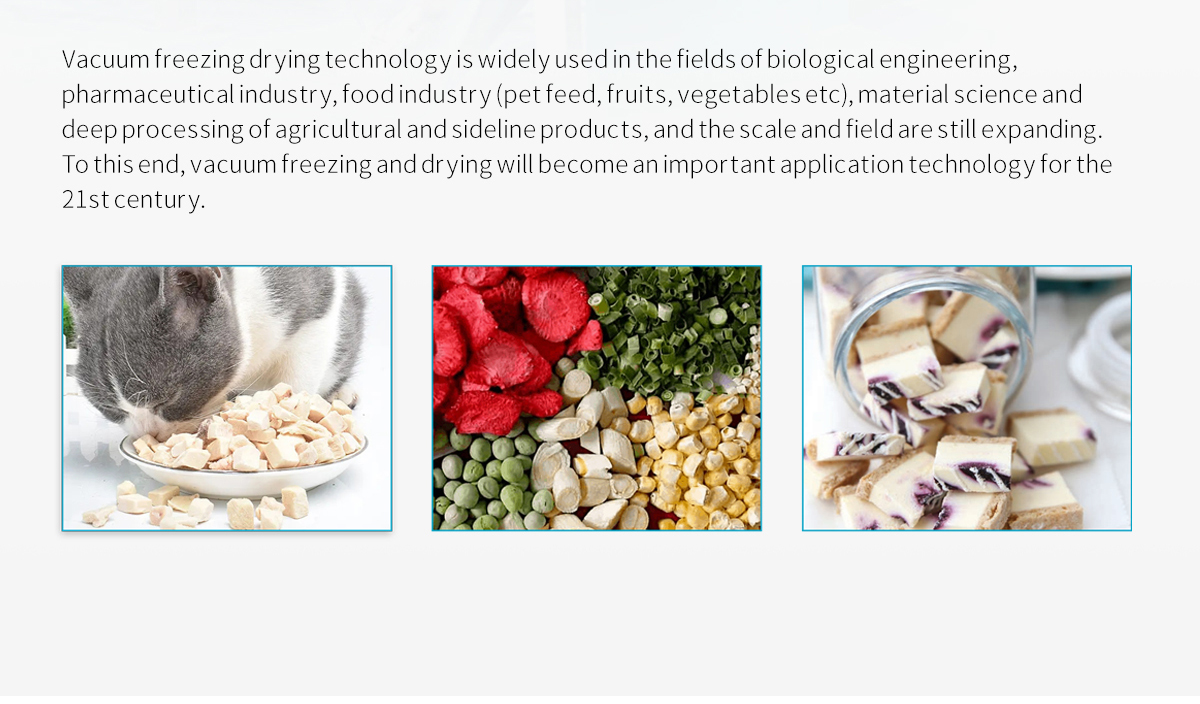 vacuum freeze dryer, freeze drying, lyophilization, lyophilizer, vacuum chamber, condenser, drying cycle, vacuum levels, freeze drying technology, vegetables, fruits.
