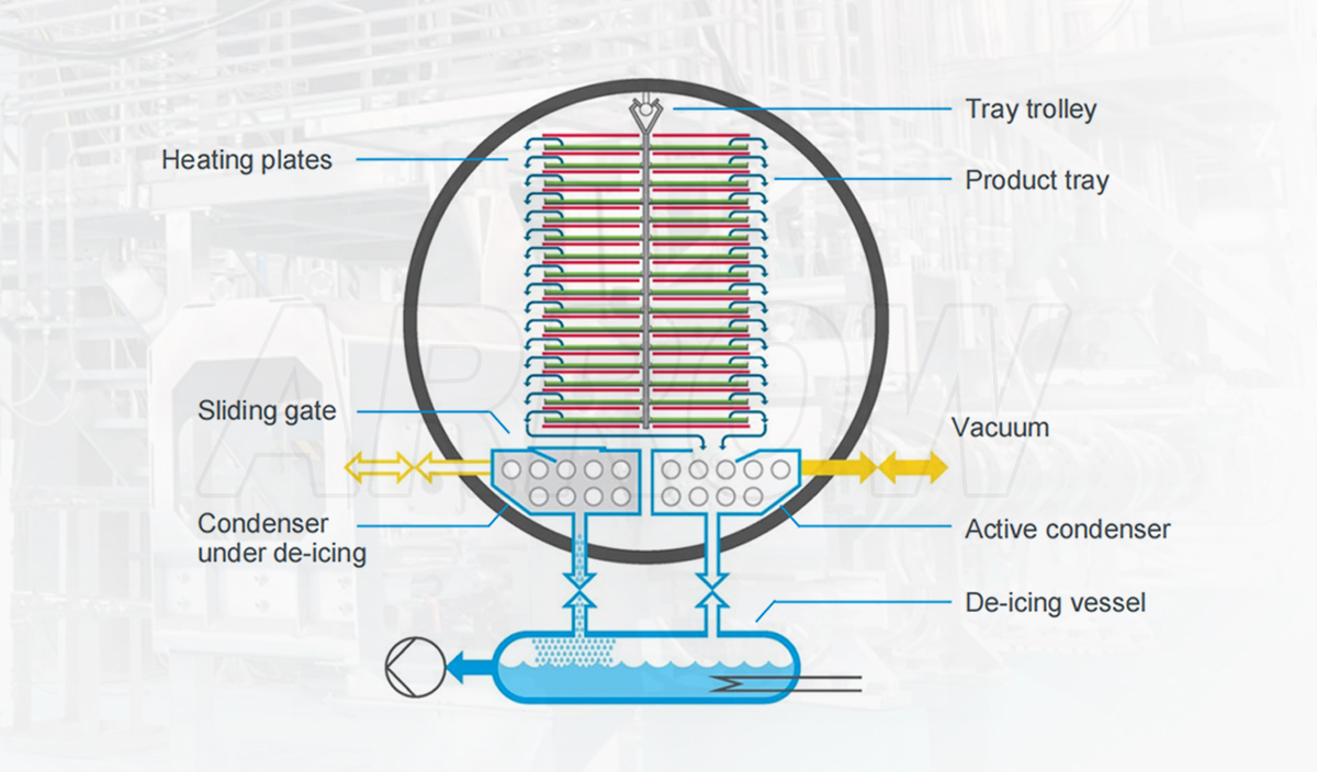 vacuum freeze dryer, freeze drying, lyophilization, lyophilizer, vacuum chamber, condenser, drying cycle, vacuum levels, freeze drying technology, vegetables, fruits.