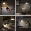 dimmable PIR induction night light