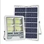 solar motion sensor light