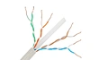 Network Cable