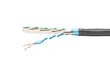 Network Cable