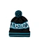 drew winter cap