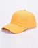 fitted hats with colored brim