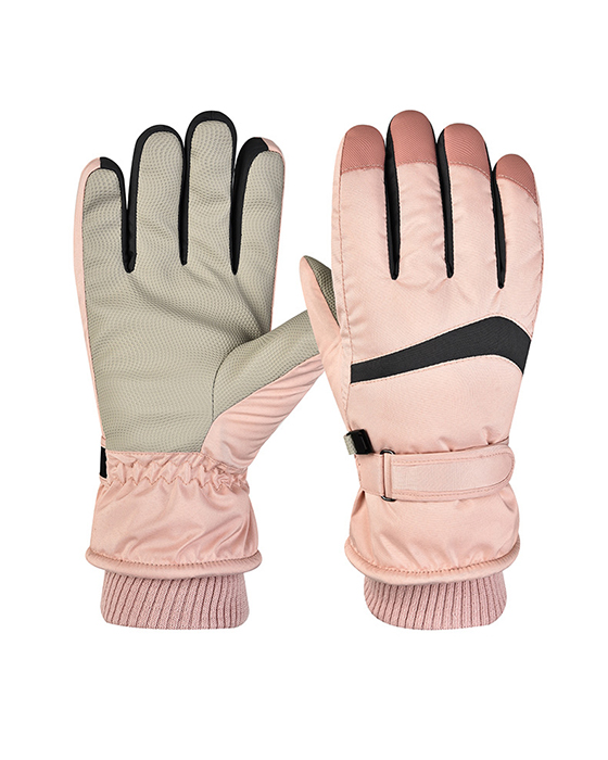 ski glovers