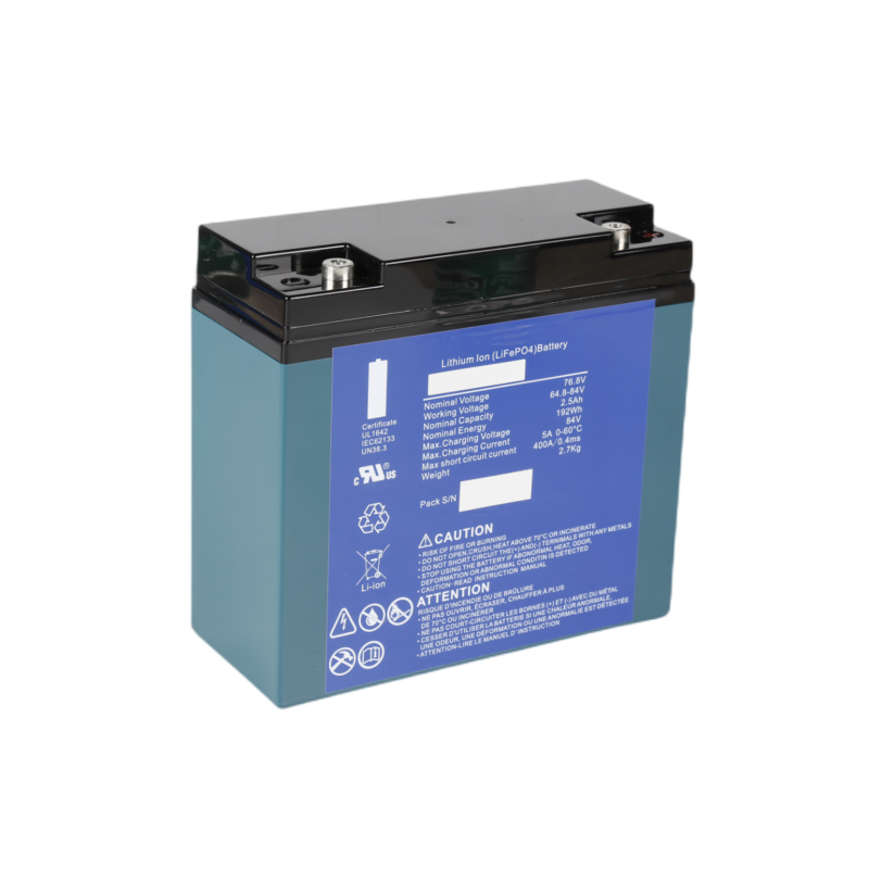 Lithium UPS Battery