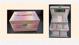 Cosmetic case