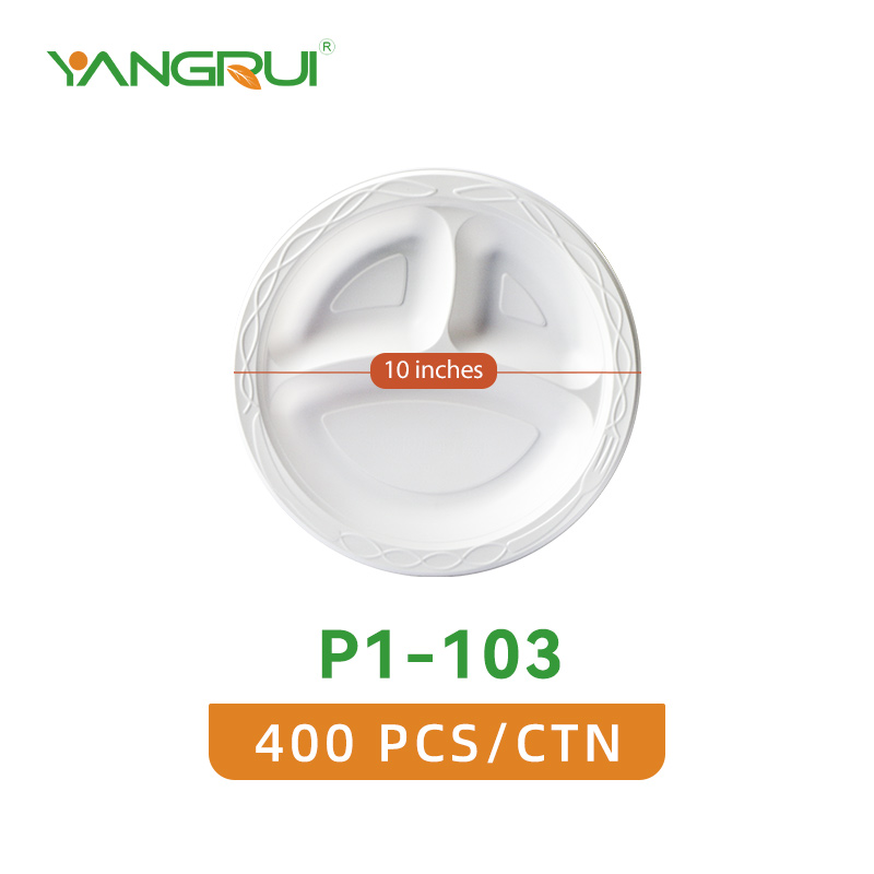 10 inch plastic plates